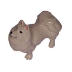 Chien
