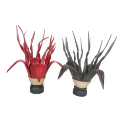Lampe Coco