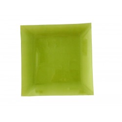 Assiette verte/taille 25